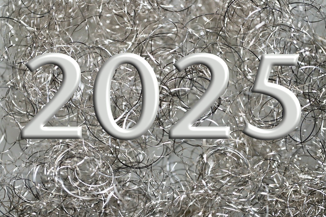 Forskudsopgørelsen 2025